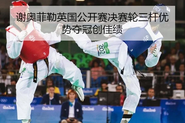 xie-ao-fei-lei-ying-guo-gong-kai-sai-jue-sai-lun-san-gan-you-shi-duo-guan-chuang-jia-ji-2-795.jpg